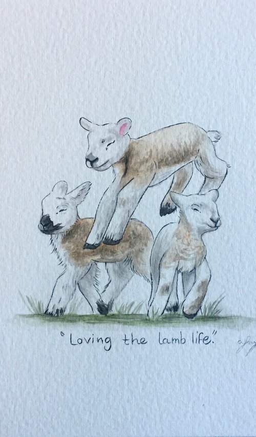 Loving the lamb life by Amelia Taylor