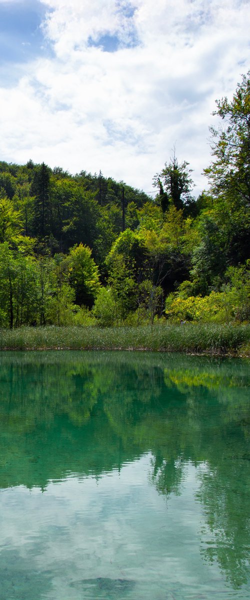 Stillness – Plitvice Lakes by Chiara Vignudelli