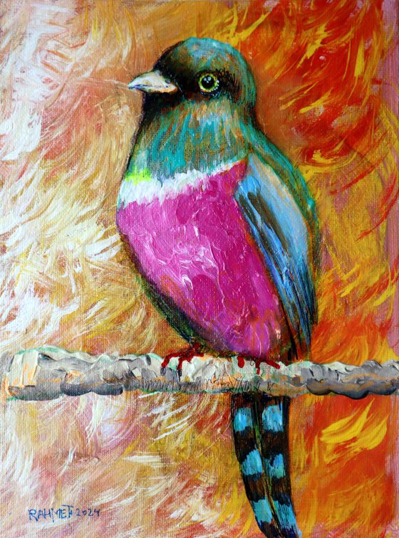 BIRD 7