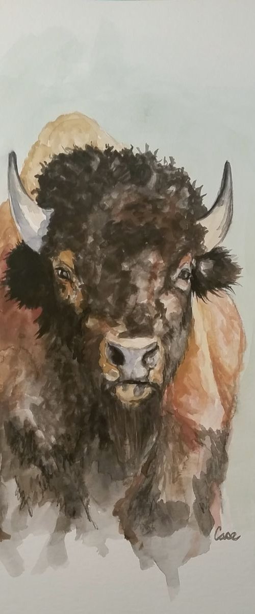 Tatanka by Katrina Case