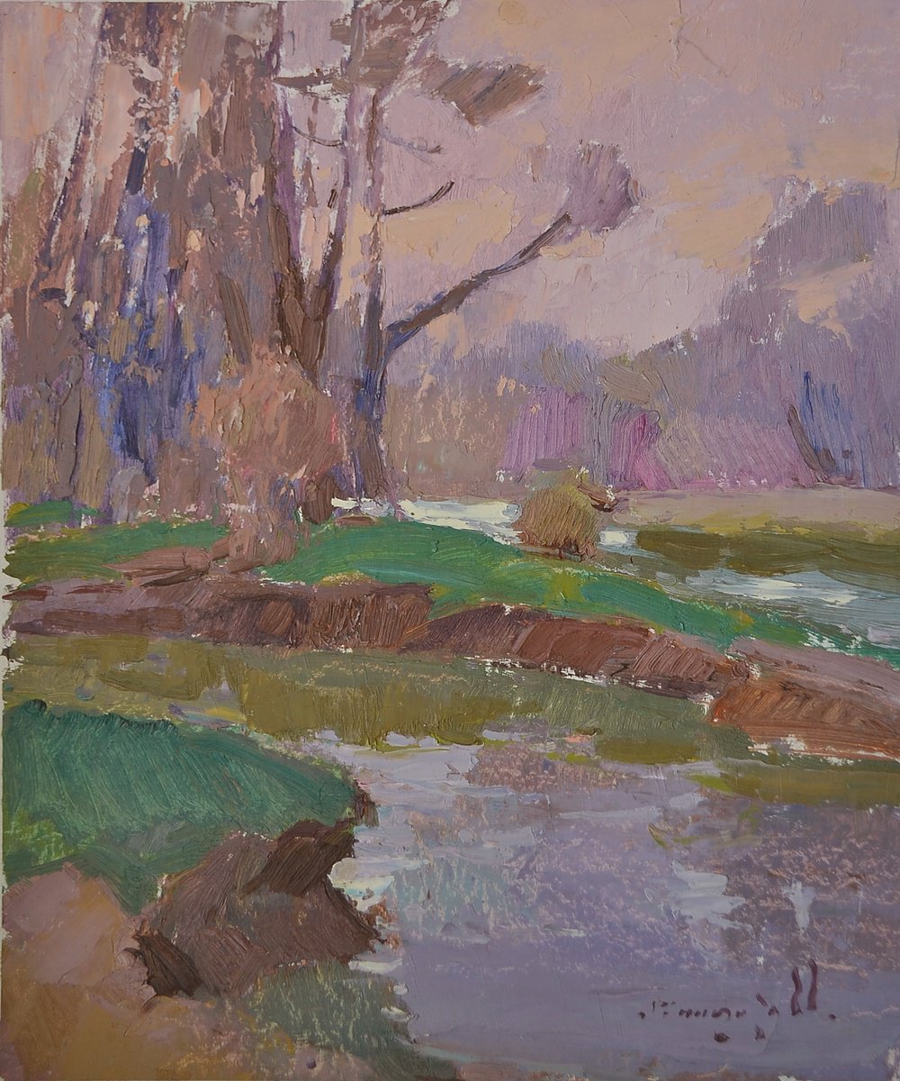 Impressionistic Landscape Oil Painting By Alexander Shandor, 14 X 18, Cloudy Day, Original Artwork