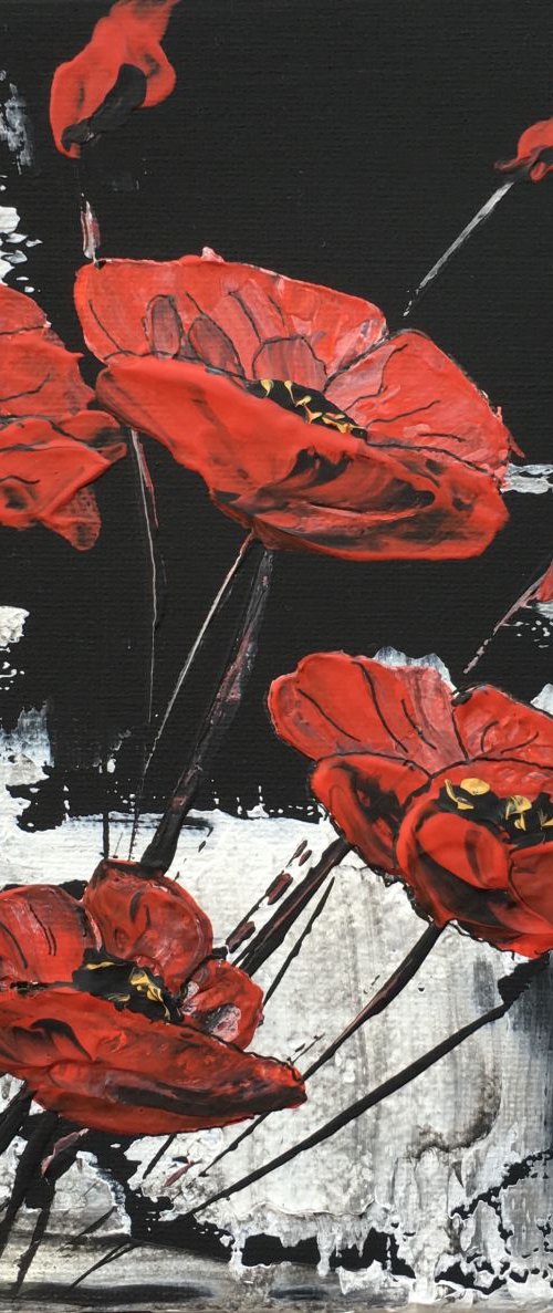 White on black background with red poppies by Marja Brown