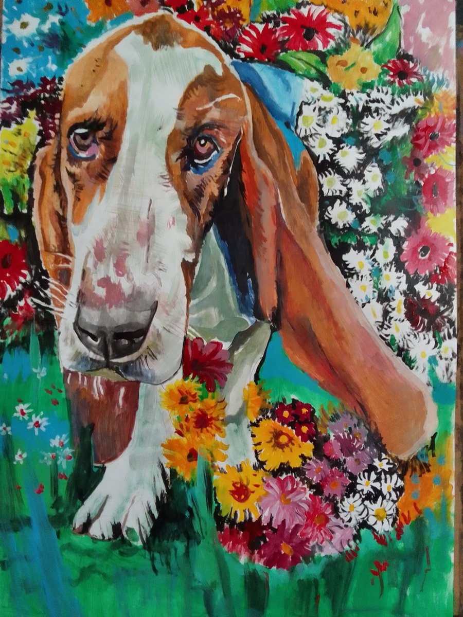 Bassethound by Soso Kumsiashvili