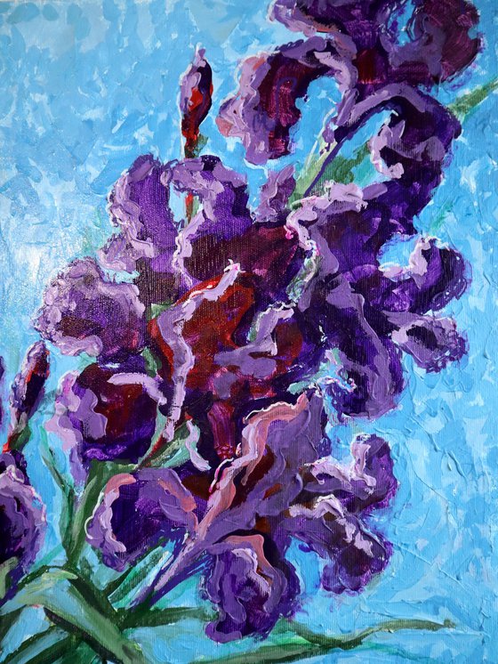 Irises on Blue