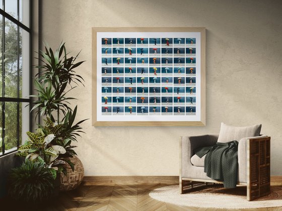 URBAN RAINBOW IX - MARINA DEL REY