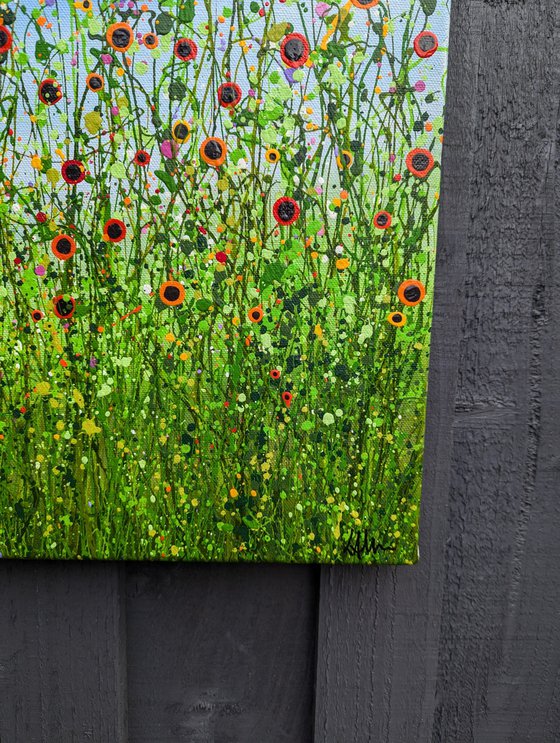 A Symphony Of Poppies #3