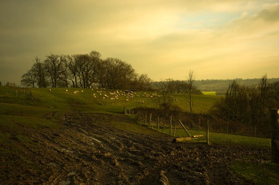 The Isle of Oxney