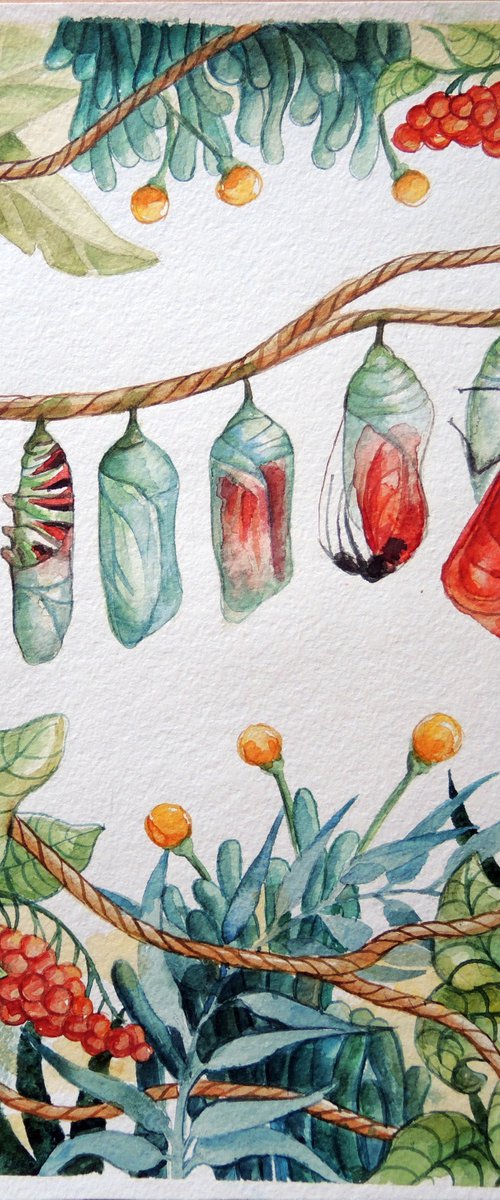 Watercolor illustration with butterflies. by Albina Bunina