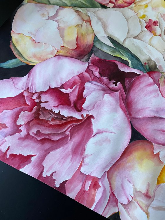 Peony Symphony