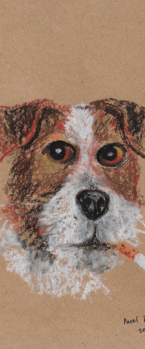 Dog and bad behavior by Pavel Kuragin