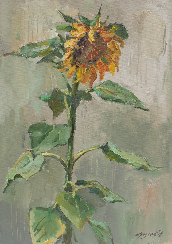 Sunflower