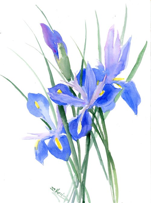 Blue Dutch Iris Flowers by Suren Nersisyan