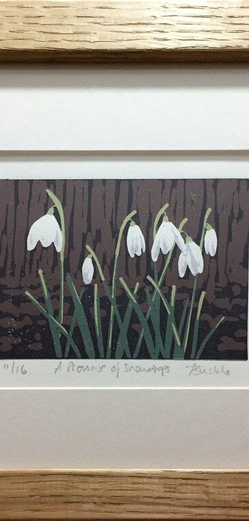 A Promise of Snowdrops, framed by Alexandra Buckle
