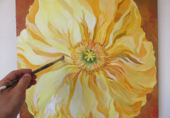 one yellow poppy