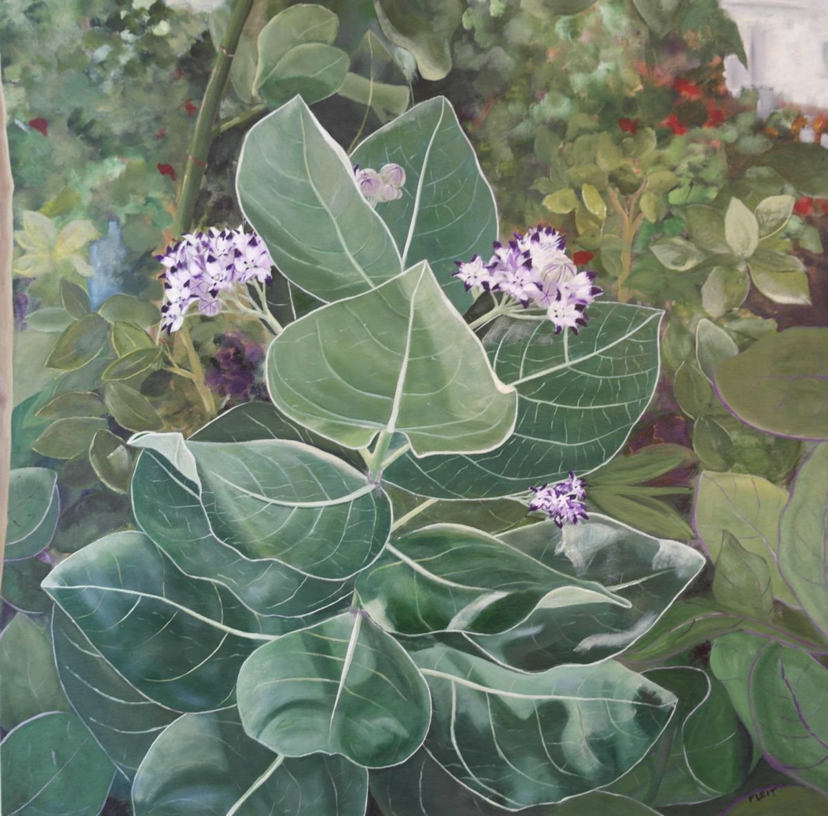 Floral Series 5 By Steven Fleit, 30 X 30, Artwork For Sale On Artfinder