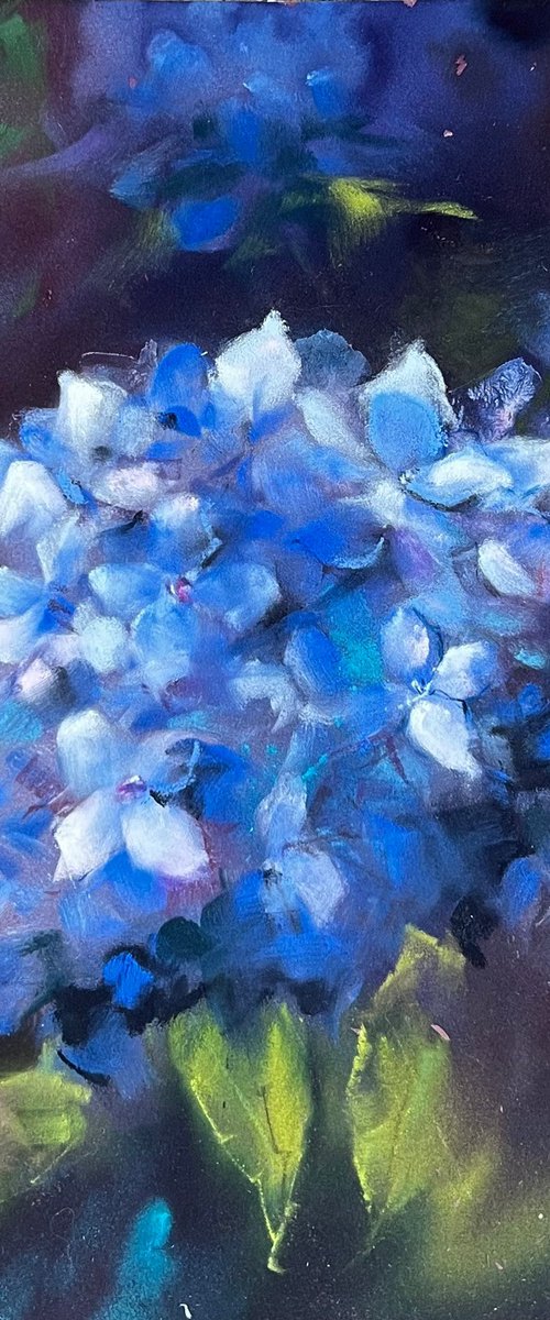 Blue Hortensia by Yana Ivannikova
