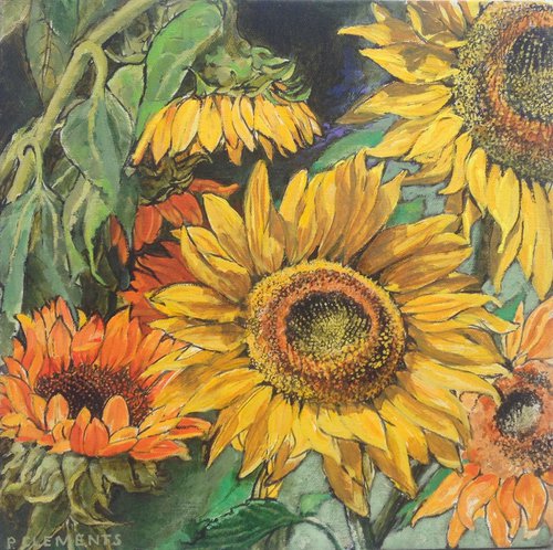 Sunny Sunflowers by Patricia Clements