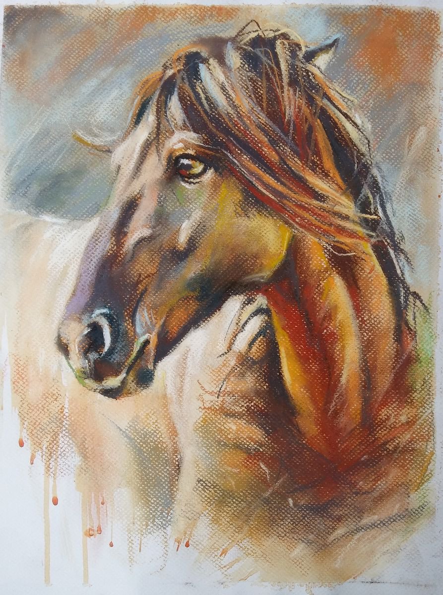 Mustang portrait - sketch by Magdalena Palega