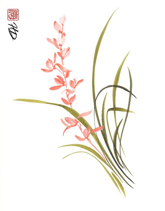 Coral Orchid Whisper