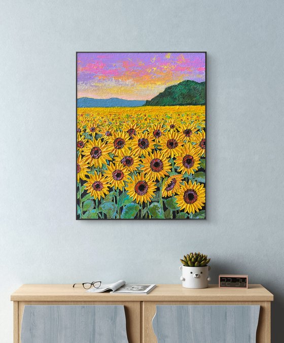 Sunflowers field at sunset