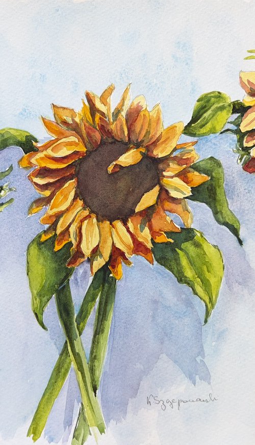 Sunflowers by Krystyna Szczepanowski