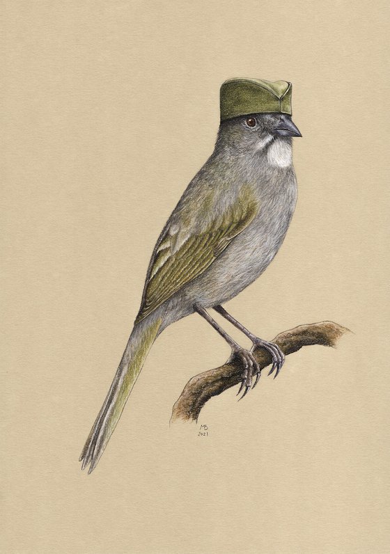 Original pastel drawing bird "Green-tailed towhee"