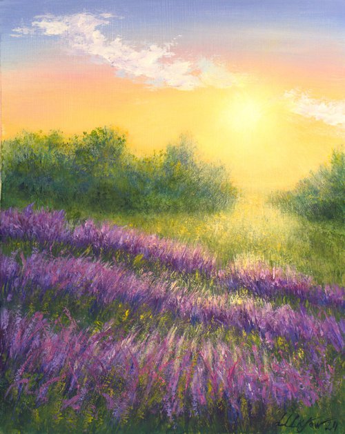 Sunrise at lavender field by Ludmilla Ukrow