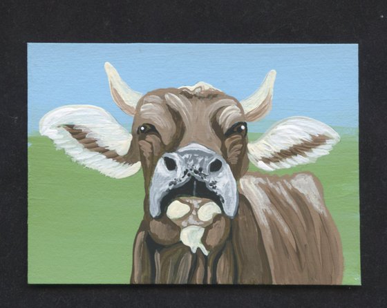 ACEO ATC Original Miniature Painting Brown White Cow Farmyard Art-Carla Smale