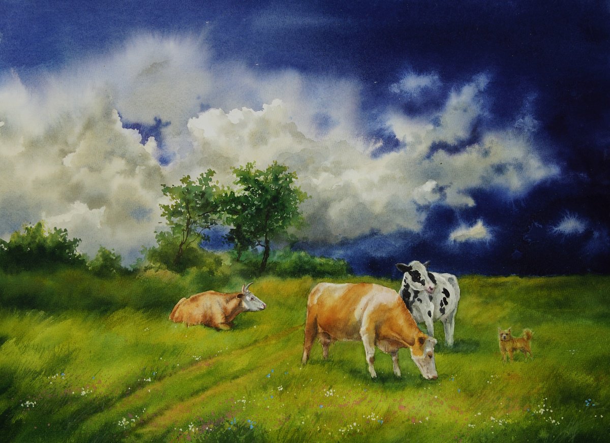 Cattle Grazing - Cow painting - rural life by Olga Beliaeva Watercolour