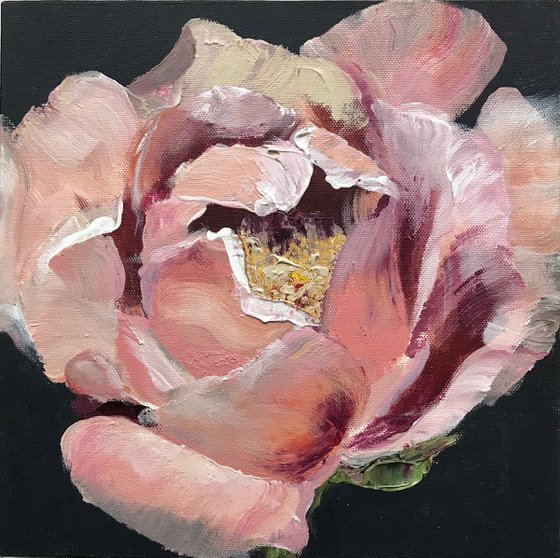 Peony in pink original painting on canvas flowers