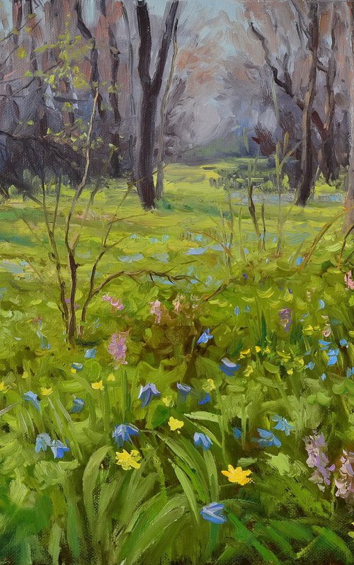 Forest in spring by Ruslan Kiprych