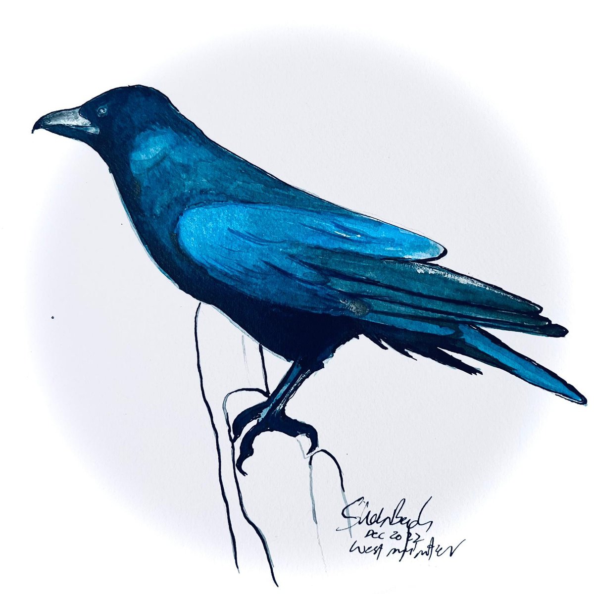 Impressionistic Animal Ink Drawing By Shabs Beigh, 14 X 14", Blue Raven, Original Artwork