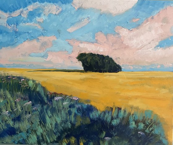 'Distant trees, Fife'