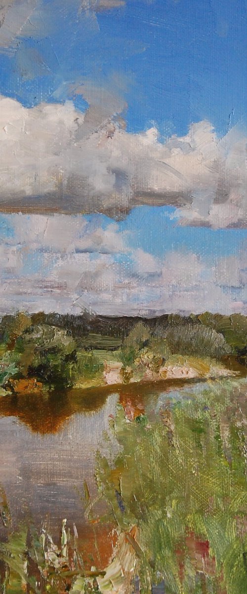 Under the clear sky by Denys Gorodnychyi