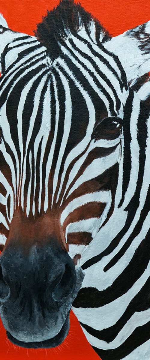 Z is for Zebra by Amy Devlin