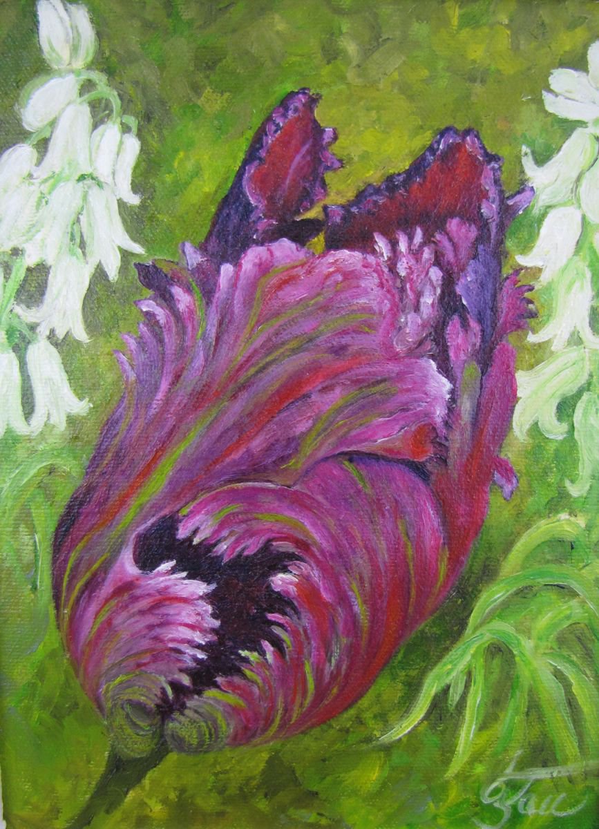 Tulip Opening by Christine Gaut