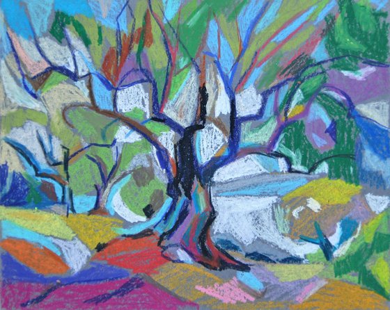 Olive tree / 28.7 x 23.5 cm