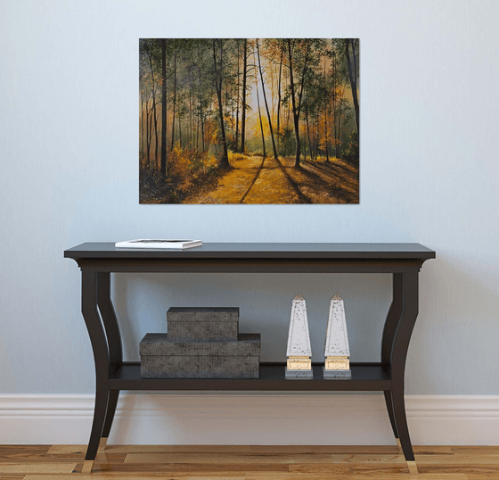 Sunlit Forest Serenity