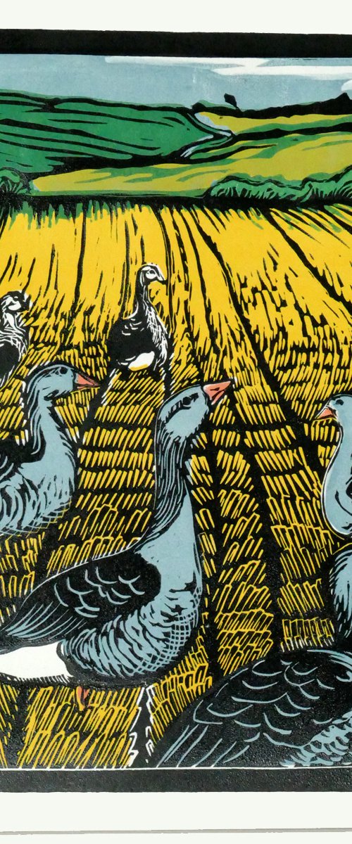 Geese in the Corn by Keith Alexander
