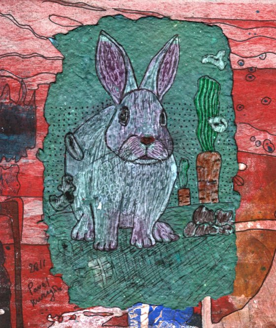 Lost rabbit