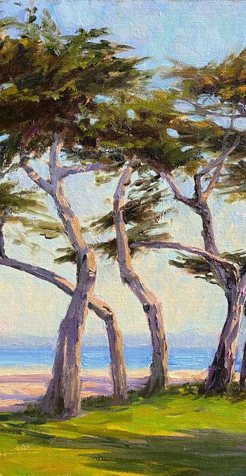 Coastal Cypress Swing Landscape by Tatyana Fogarty