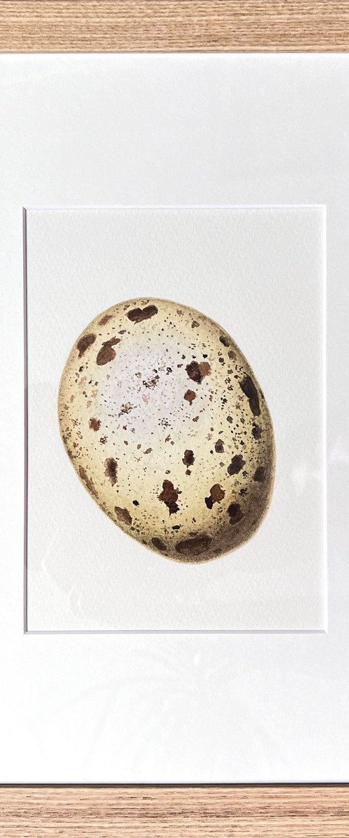Golden egg by Tetiana Kovalova