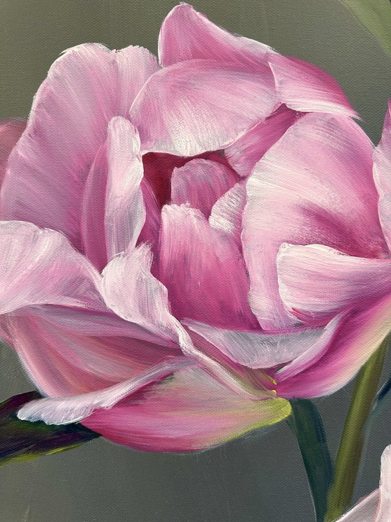 The tenderness of peonies