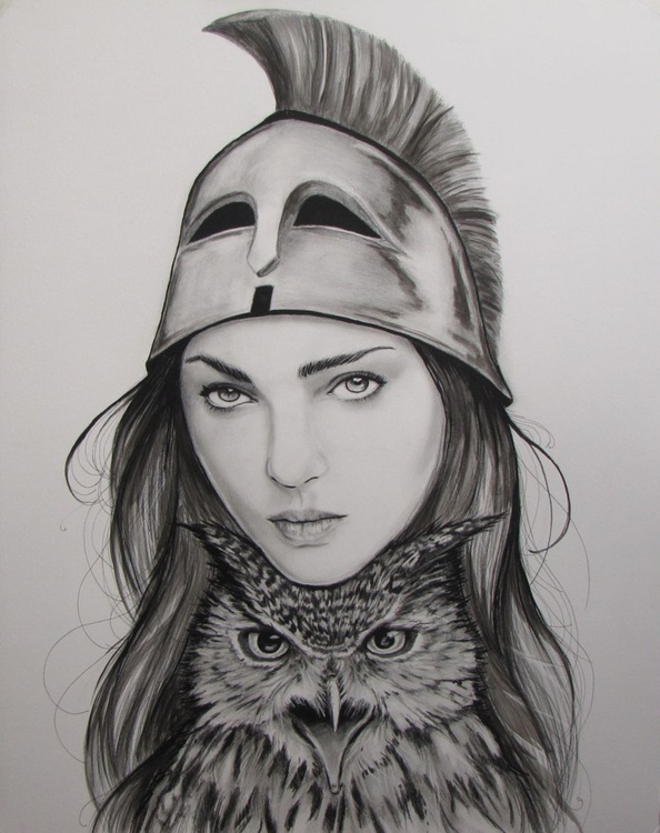 Athena Pencil Drawing By Raffaella Bertolini Artfinder athena