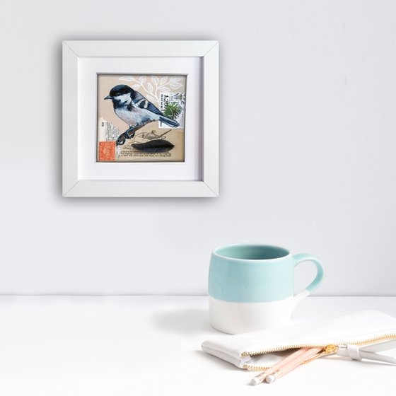 The Coal tit feather  (framed and ready to hang)