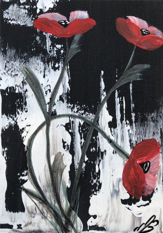 Red poppies in a frame