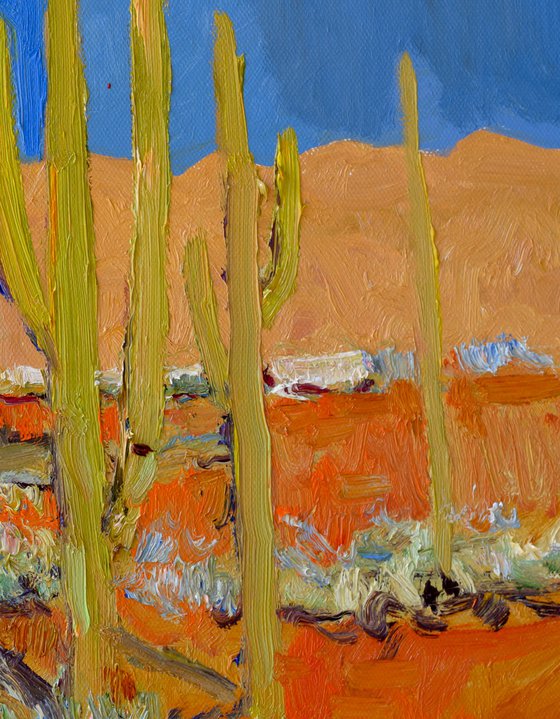 Old Houses and Cactuses