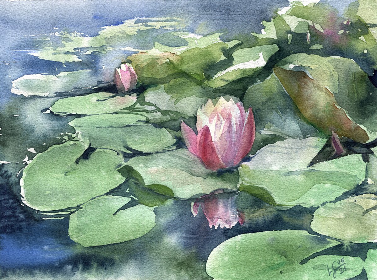 Waterlilies in a pond by SVITLANA LAGUTINA