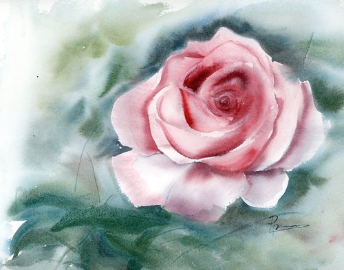 Red Rose Painting Original Watercolor by Olga Shefranov (Tchefranov)