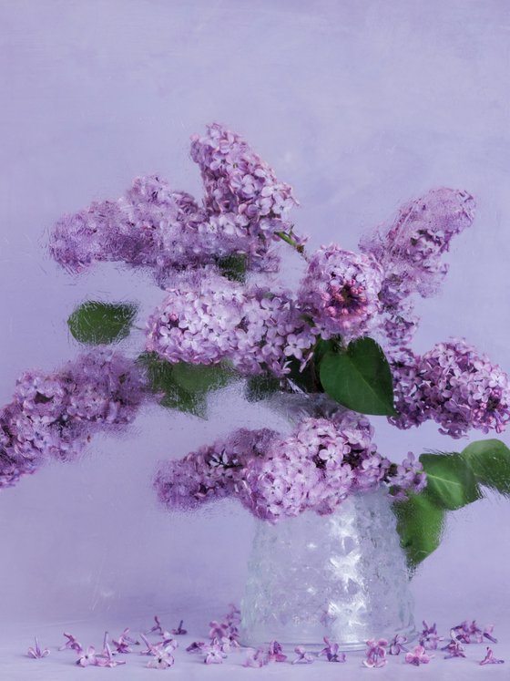 Fragile Bloom